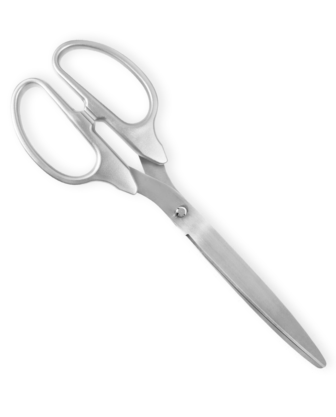 25" Silver Ceremonial Scissor Rentals Atlanta, GA